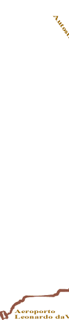 Cartina